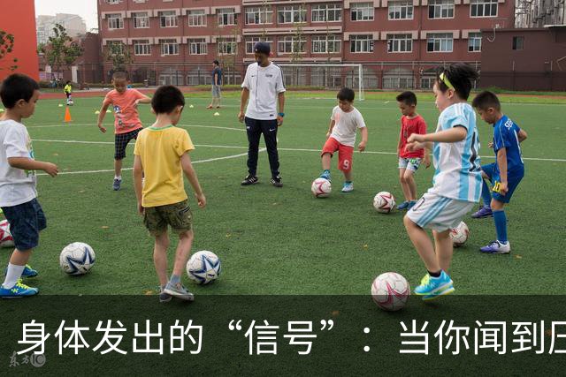 身体发出的“信号”：当你闻到压力的气味